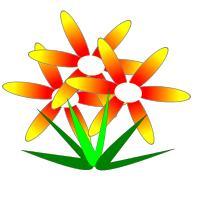 flor de mato