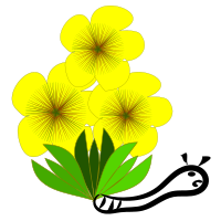 a flor amarela e a lagarta