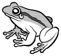 frog - lineart