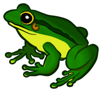 frog - coloured