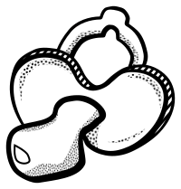 pacifier - lineart