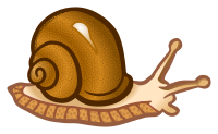 snail - coloured