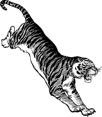 Jumping Tiger