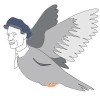 When men are becoming birds.