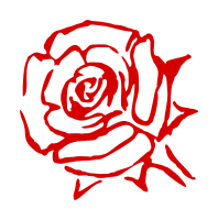 rose