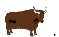 New Yak