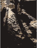 Snow Shadows
