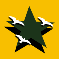 birds over the star