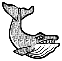 whale - lineart