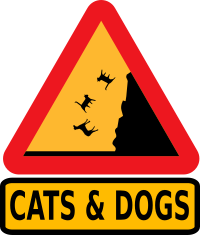 Falling cats and dogs