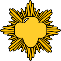 Gold Award Pin