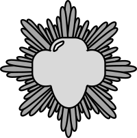 Silver Award Pin