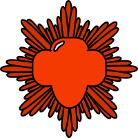Bronze Award Pin