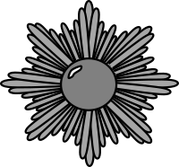 Silver decorative starburst