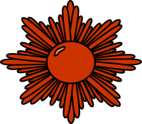 Bronze decorative starburst