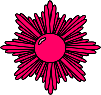 Pink starburst