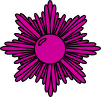 Purple starburst