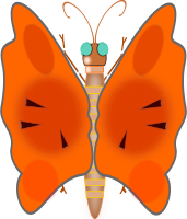 butterfly