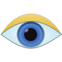 eye