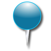 gps pin