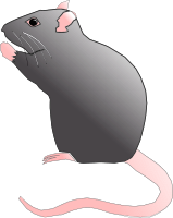 ratx
