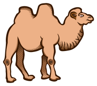 camel - coloured