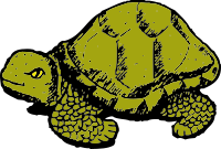 tortoise