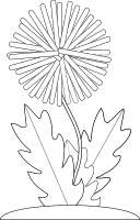 dandelion flower bw