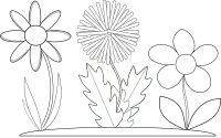 three flowers bw