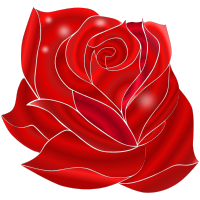 Rosa Rossa
