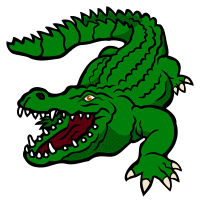 crocodile - coloured