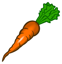 carrot - coloured