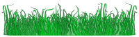 Grass for the lawn