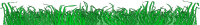 Grass divider