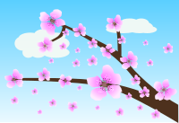 Fiori di pesco