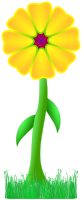 Flower path #4