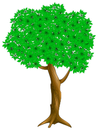 Tree 3