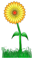 Flower for a friend