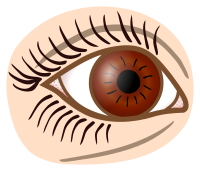 eye - coloured