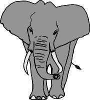 Elefante
