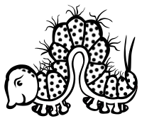 caterpillar - lineart