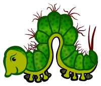 caterpillar - coloured