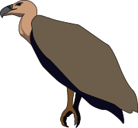 Vulture