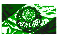Bandeira Palmeiras