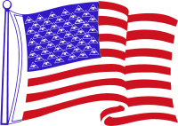 American Surveillance Flag