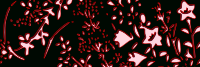autumn-field -001-4