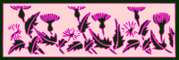 thistle-002-2