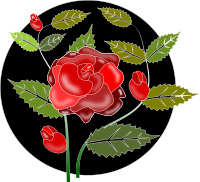 Rosa Rose