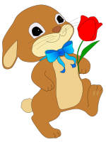 Coniglio rabbit small
