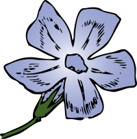 periwinkle